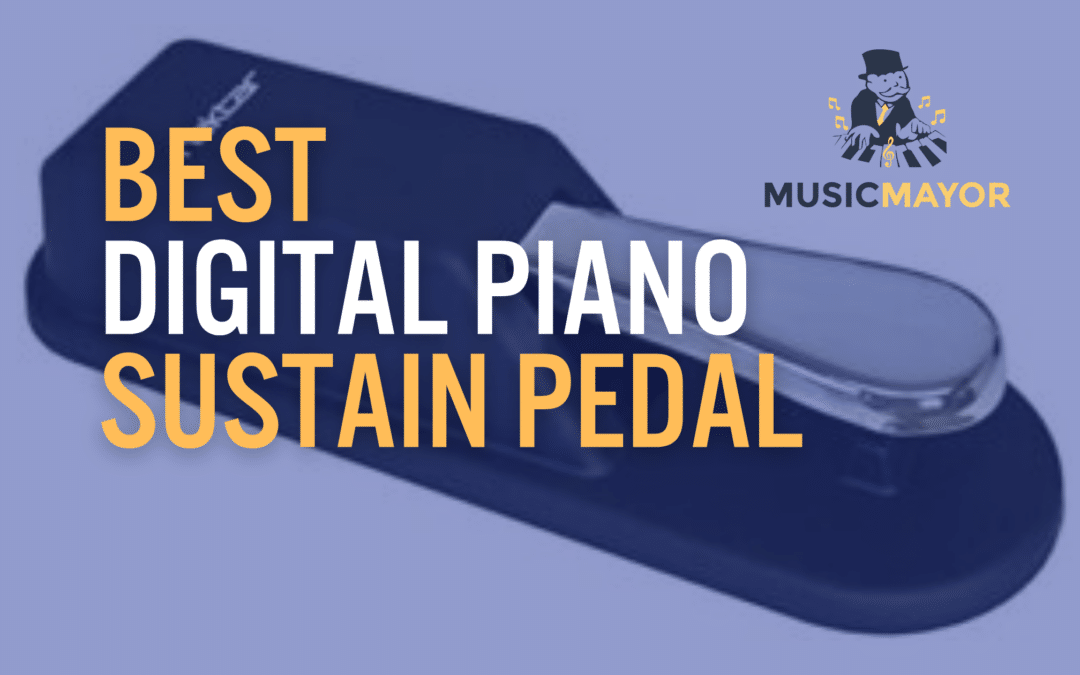 10 Best Sustain Pedals For Your Digital Piano Keyboard